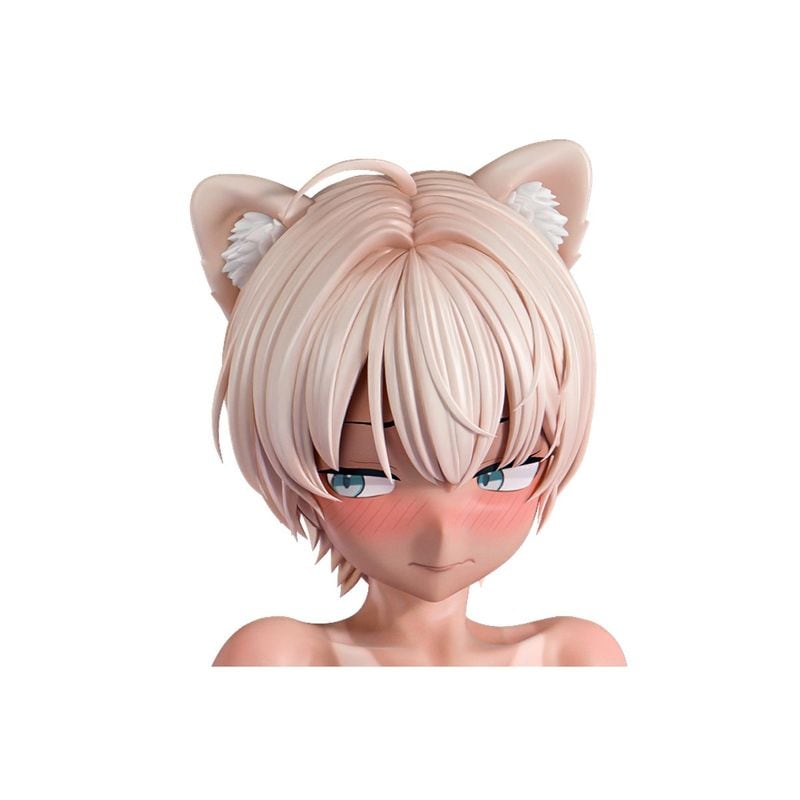 肉感美少年 スク水日焼けのケモ耳男子 ラオル 1/6 完成品フィギュア 《送料無料》 【18歳未満購入禁止】の商品画像