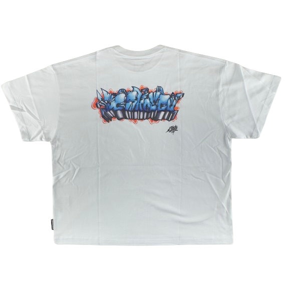 DC ディーシー シューズ Tシャツ メンズ 半袖 23 TAKEEE8 GRAFF BK DST232050-WHT