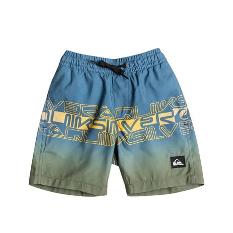 クイックシルバー キッズ ボードショーツ 水着 EVERYDAY WORDBLOCK VL BOY 13 EQKJV03237-BYG6|スイム&マリンZONE