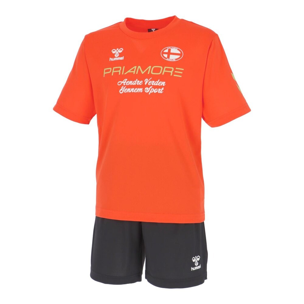 �ҥ���� �ץ饯�ƥ��������� ����˥� �岼���å� �ץꥢ�⡼�� ���å��� ������ �ե졼�४��� HJP1214SP-331