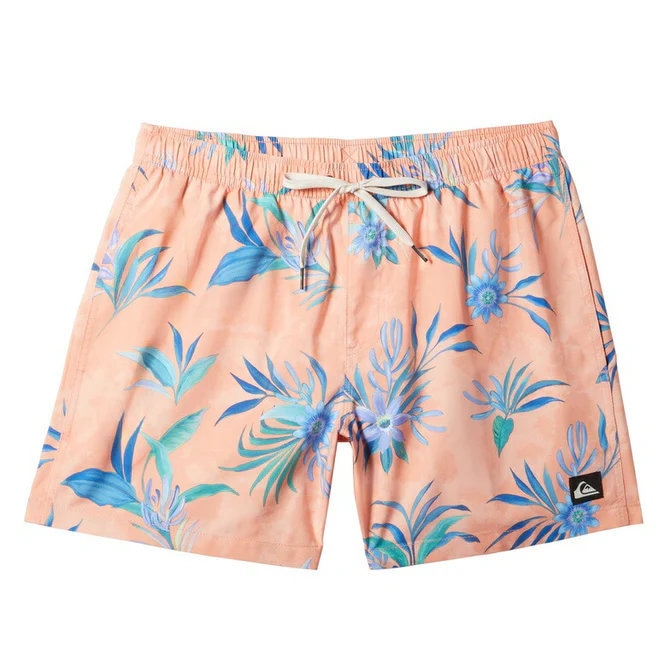 クイックシルバー サーフパンツ メンズ ボードショーツ EVERYDAY MIX VOLLEY 17NB AQYJV03149-MFQ7|スイム&マリンZONE