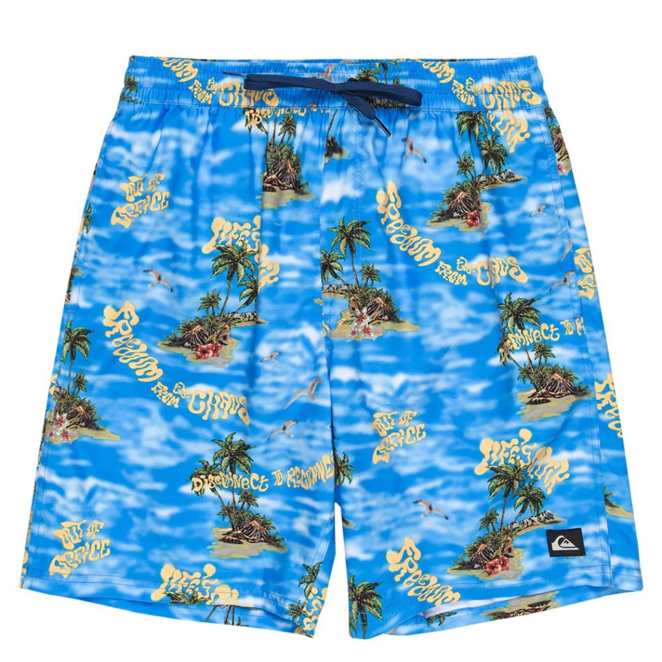 クイックシルバー ボードショーツ メンズ EVERYDAY STRAIGHT VL 19 QBS251001-BLQ6|スイム&マリンZONE