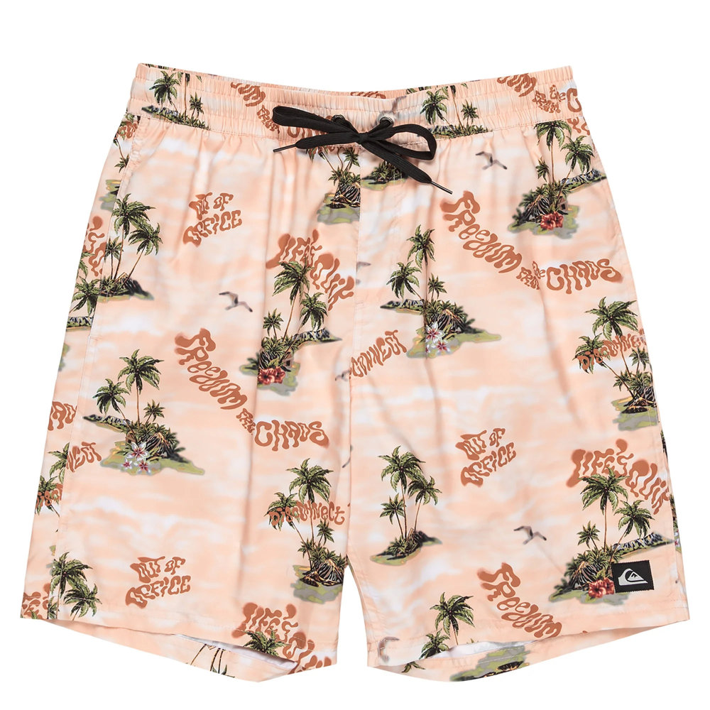 クイックシルバー ボードショーツ メンズ EVERYDAY STRAIGHT VL 19 QBS251001-MEF6|スイム&マリンZONE