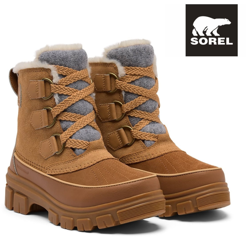 ����� ��ǥ����� ���Ρ��֡��� �ƥ��ܥ�5 �����������ץ롼�� ���硼�� NL5113-253