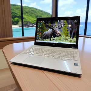 NEC LAVIE ラップトップPC 15インチ 最新2021年秋冬モデル LAVIE Direct N15(S) （ノートパソコン）NEC