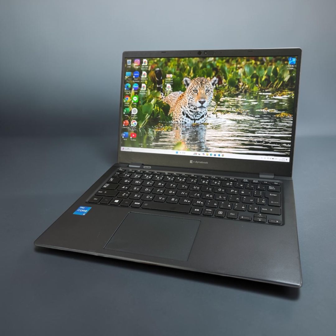 TOSHIBA DynaBook GCX83/PLE 13.3ｲﾝﾁ