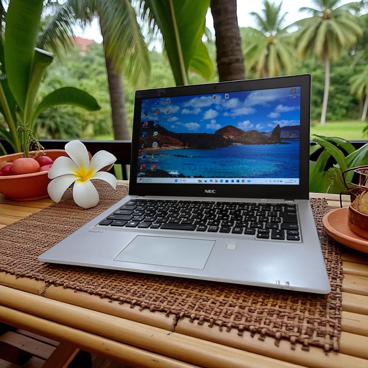 NEC VersaPro VB-3 13.3インチ