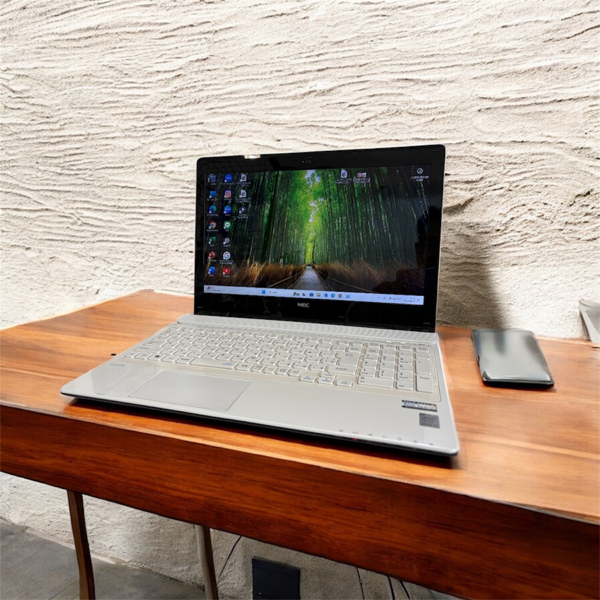 NEC LAVIE Direct GN202FSA4 15.6インチ