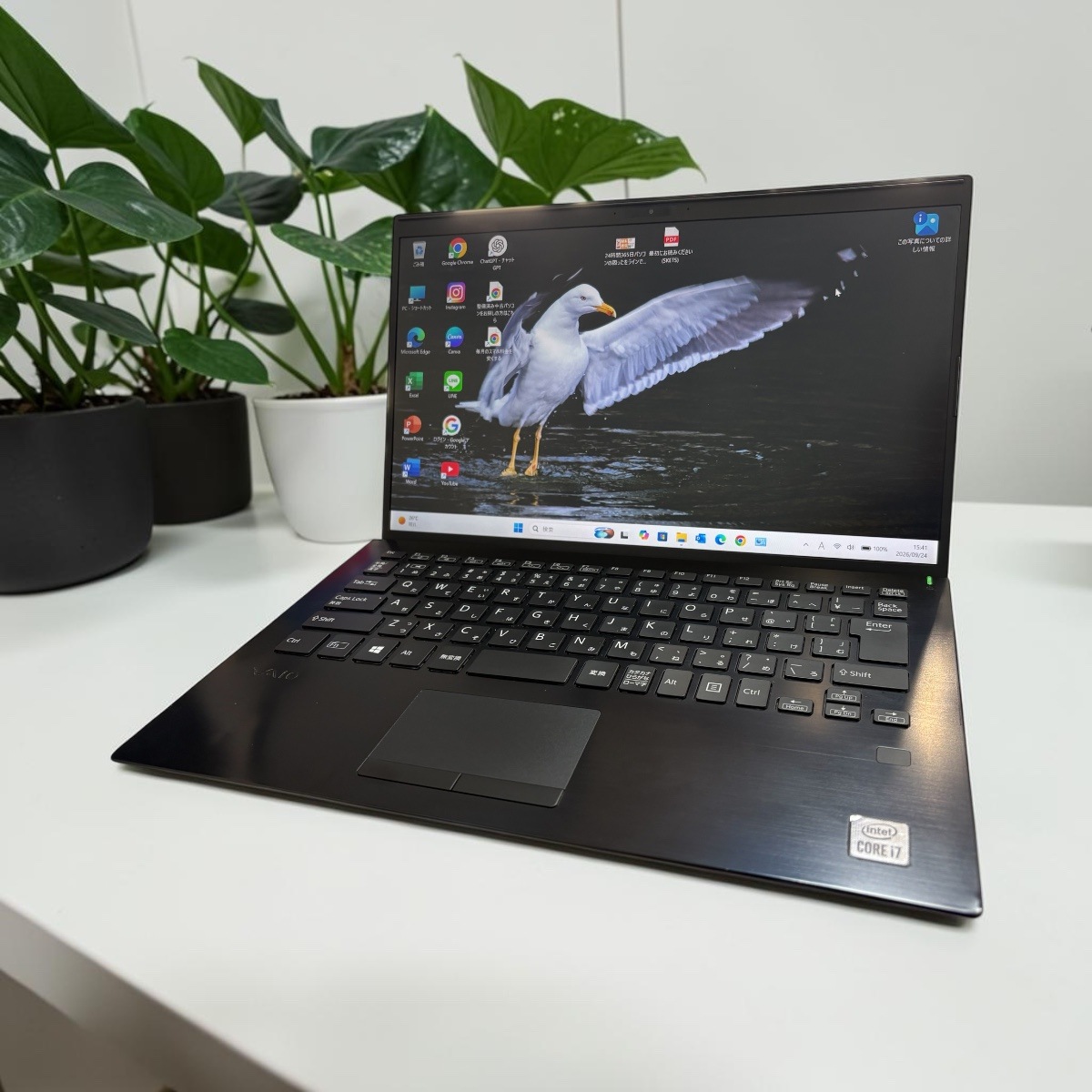 VAIO ProPK VJPK13C12N 14.0ｲﾝﾁ