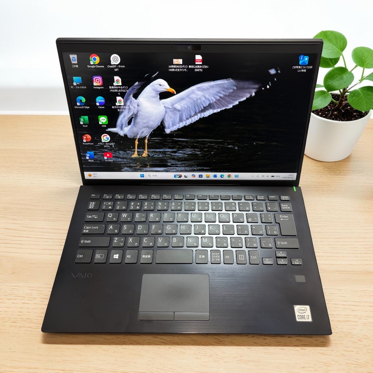 VAIO ProPK VJPK13C12N 14.0ｲﾝﾁ