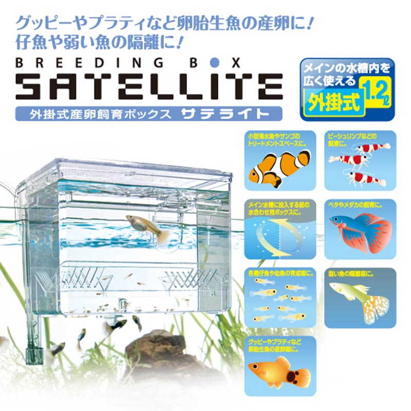 サテライト 海水魚 サンゴ飼育用品 隔離ケース やどかり屋
