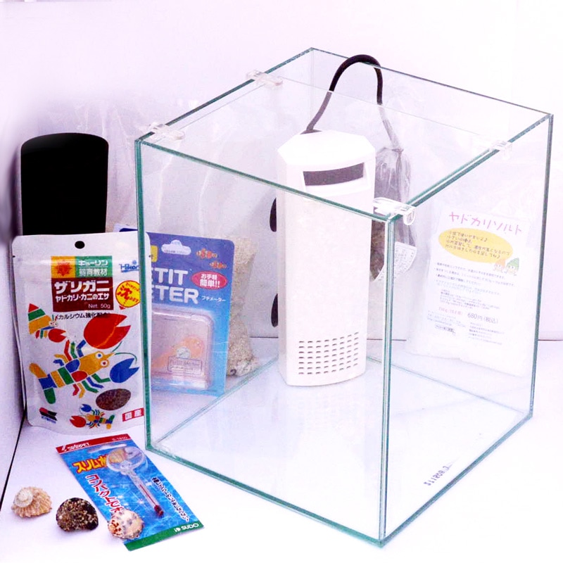 すぐ使える海水プレゼント♪】初めて♪水棲ヤドカリ飼育10点