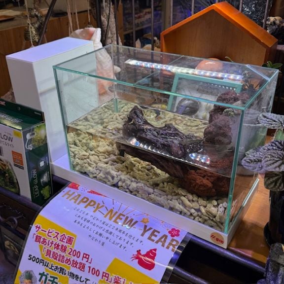 GEX aquarista AQUA-U WIDE 2.0 ホワイトとブラックがございます