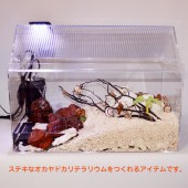 ヤドカリハウス50（オカヤドカリ・爬虫類・小動物・両生類）お屋根がかわいい♪【ケースのみ】