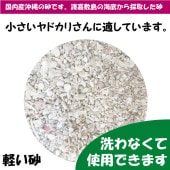 沖縄の天然サンゴ砂