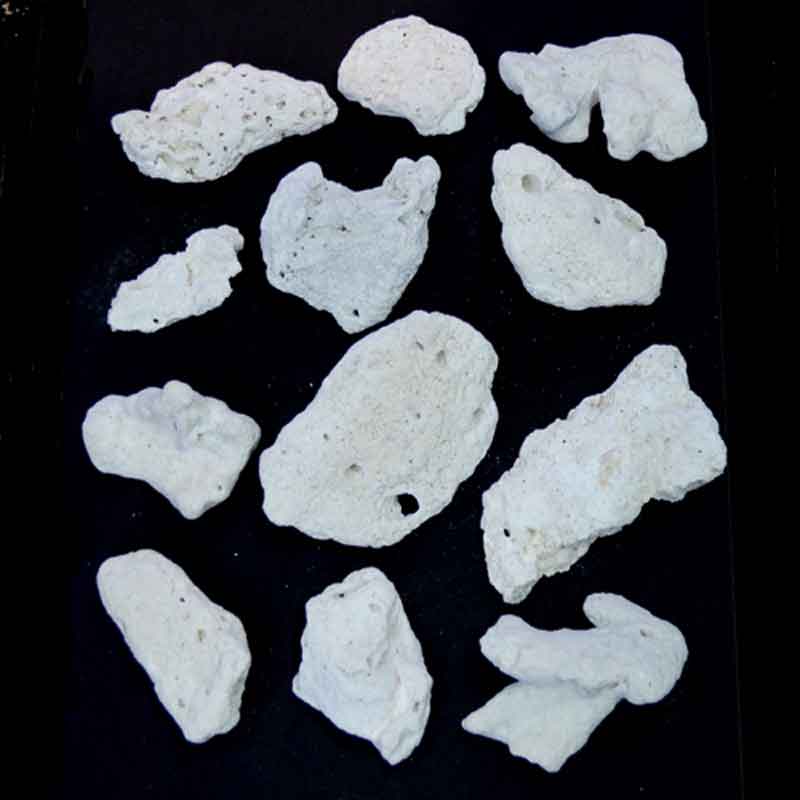 A級 かわいい 天然サンゴ岩 | 海水魚・サンゴ飼育用品,サンゴ砂