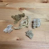 天然海綿【026】ミニ海綿5個セット