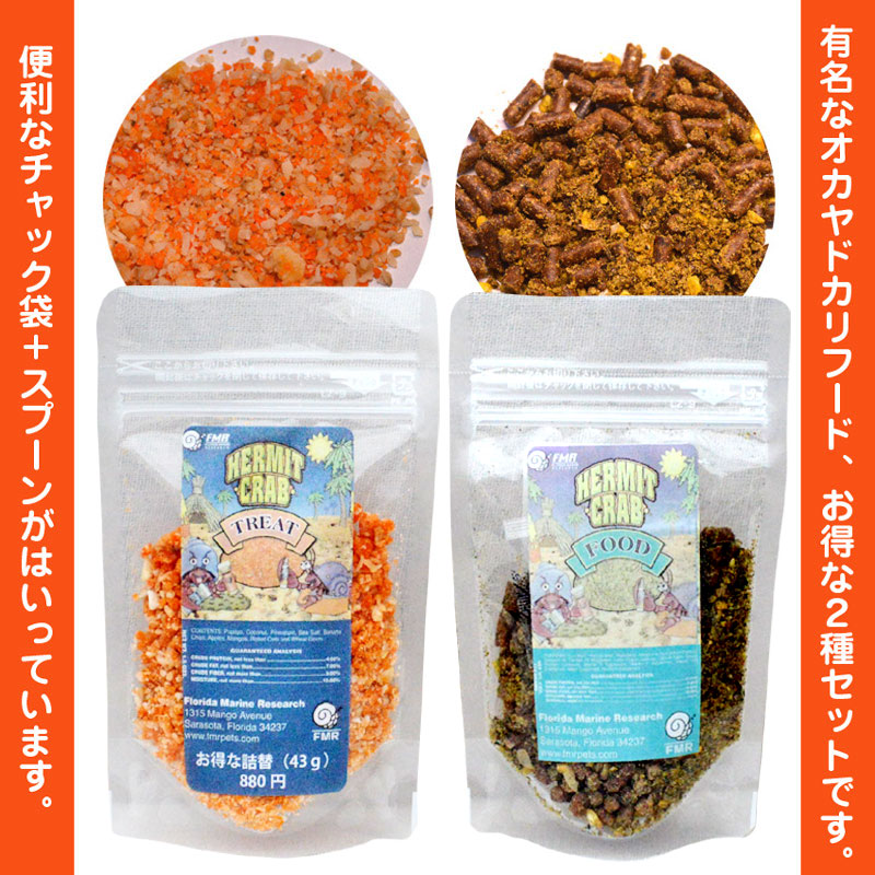 白い足のオカヤドカリさん貝殻幅2.5cm | 海水魚図鑑（過去入荷