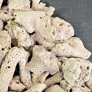 JUN 極上サンゴ NO.25 2kg | 海水魚・サンゴ飼育用品,サンゴ