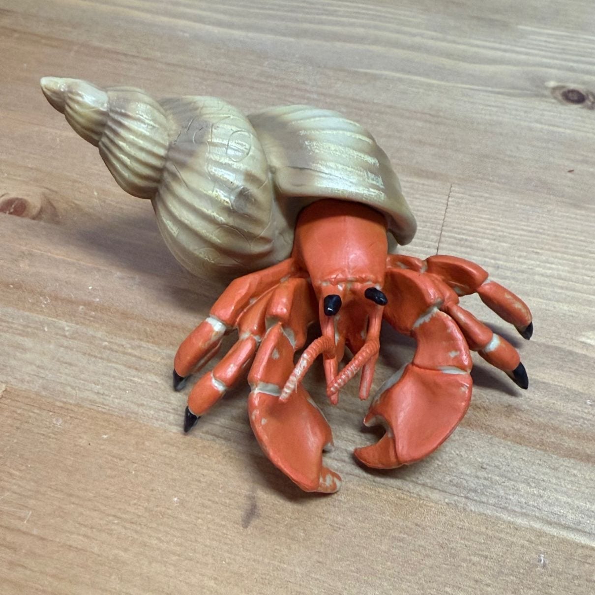 ヤドカリ フィギュア 002 貝殻9cm | プレゼントにも！海雑貨