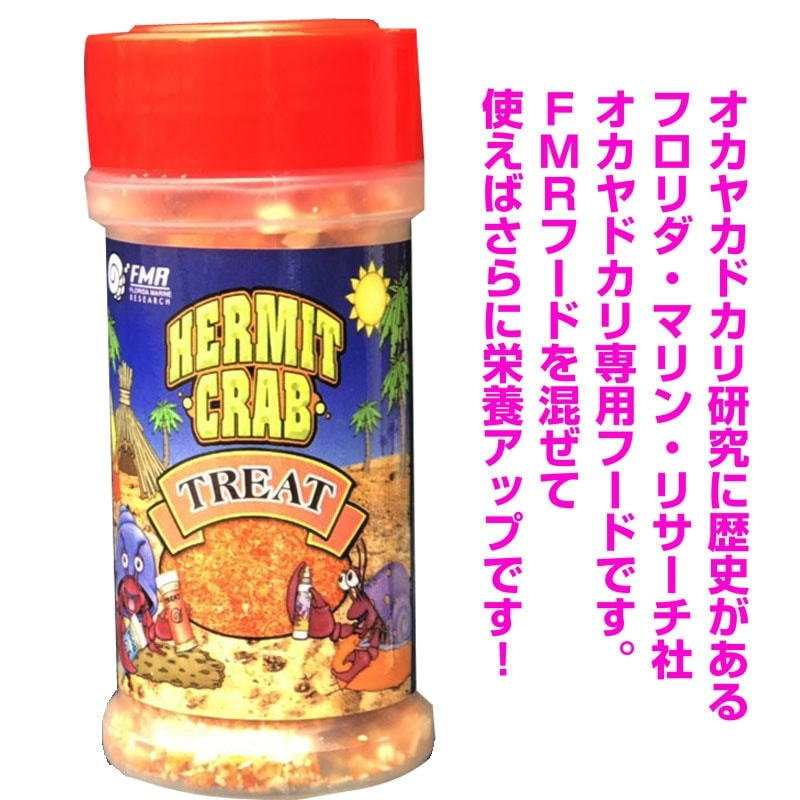 オカヤドカリさん【3Lサイズサザエかアフリカマイマイ】【イメージ