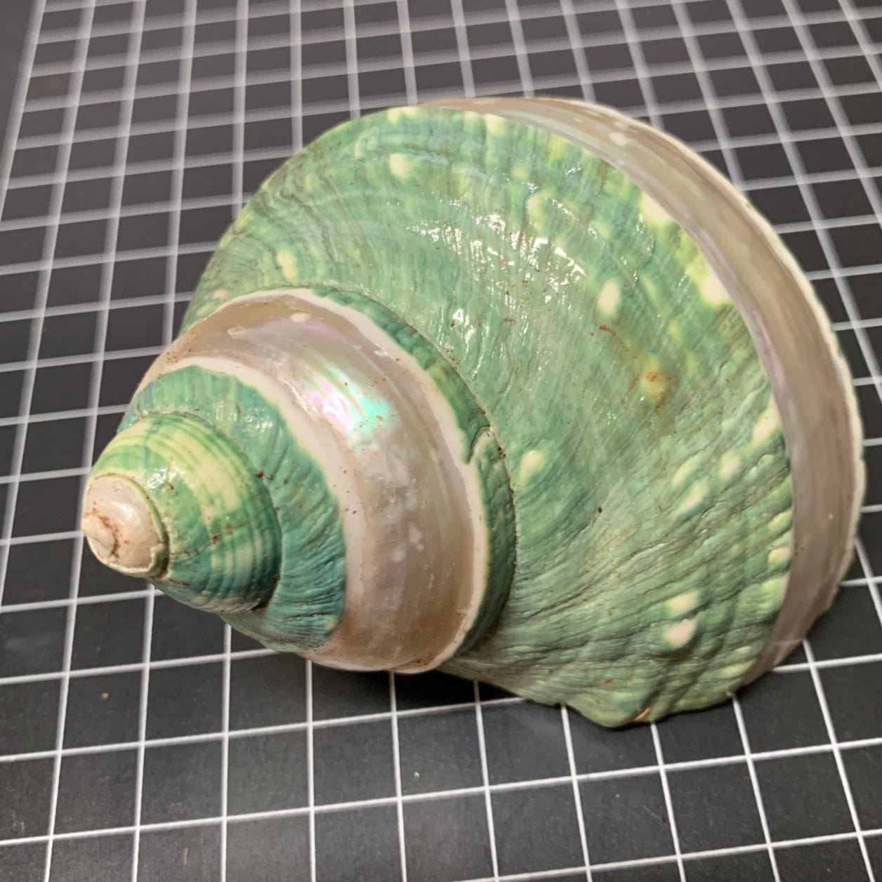 アクセサリー