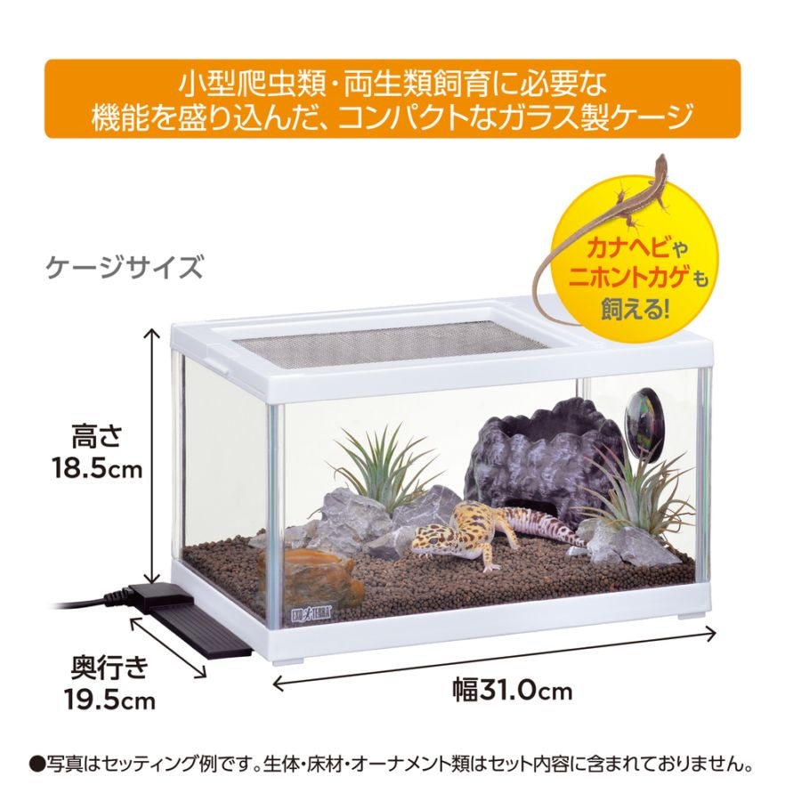 オカヤドカリ飼育キット レプテリア ツインビュー 300ホワイト