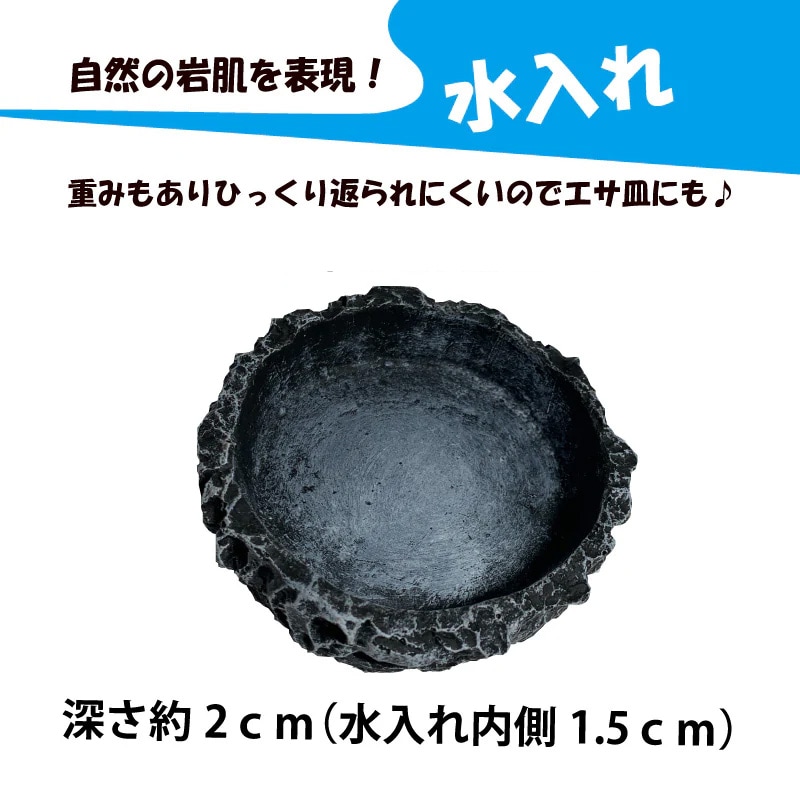 爬虫類用品