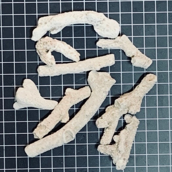 天然サンゴ 25-40mm 2kg | 海水魚・サンゴ飼育用品,サンゴ砂