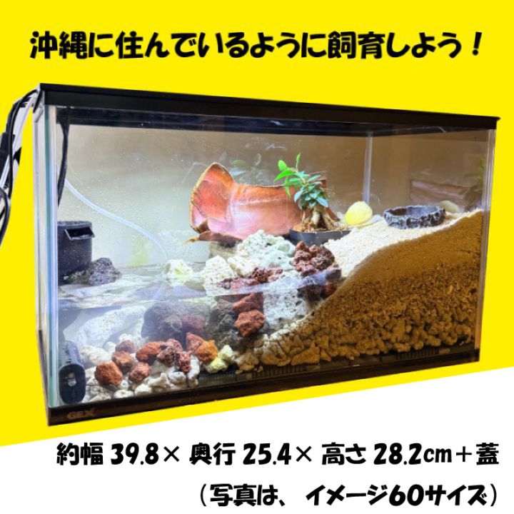 アクリルケース・水槽
