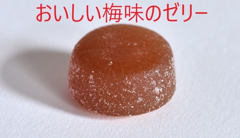 シャンピニオンゼリー　30粒入り