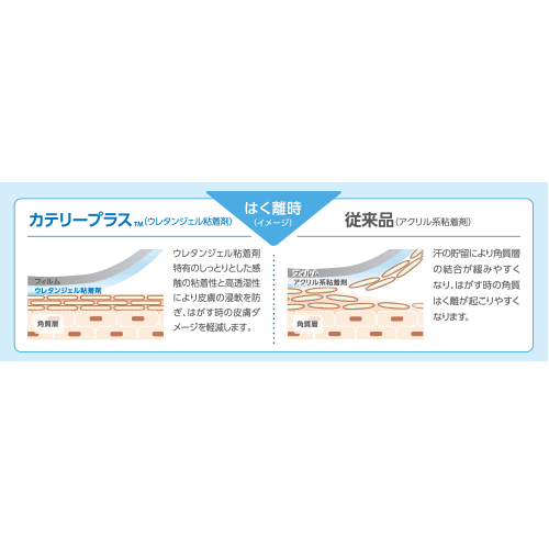 カテリープラスロール｜ヤガミホームヘルスセンター e.よりそうだん