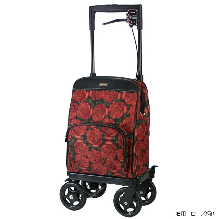 2_000000000474.jpg?1700542553