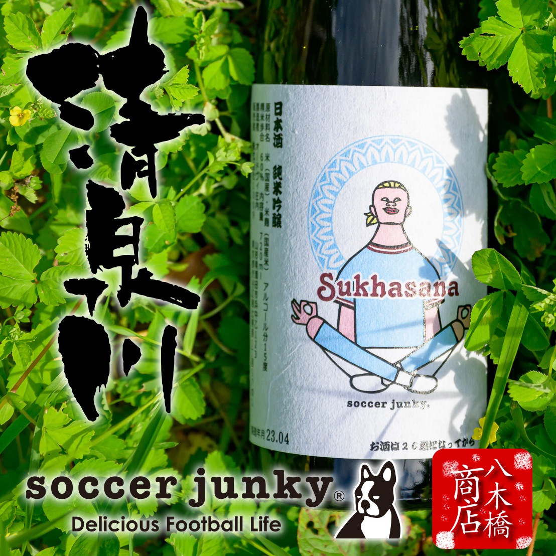  ƶ soccer junky  ɥ Ķ