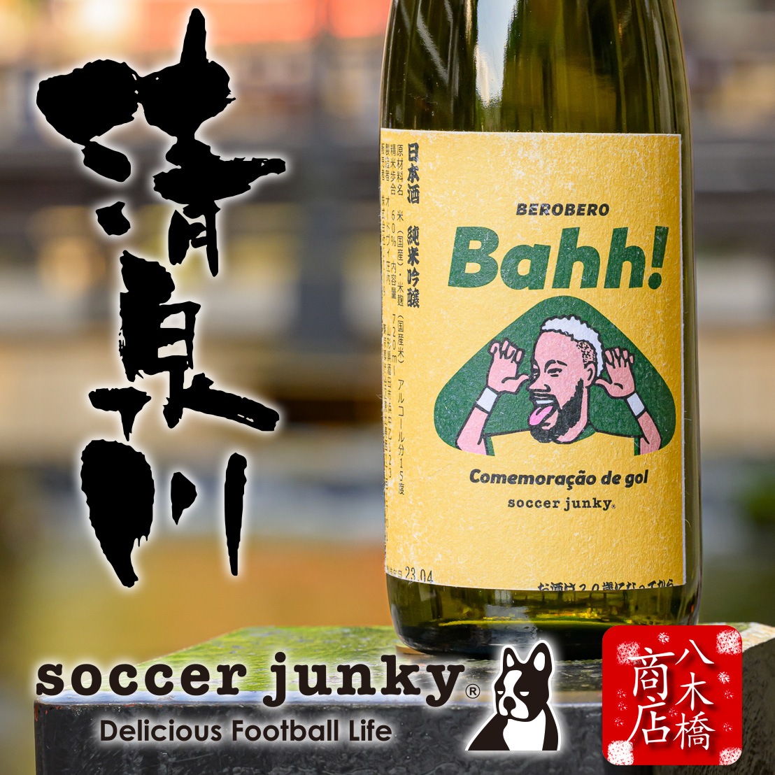  ƶ soccer junky  ɥ Ķ