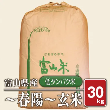 �ٻ����� ���㥰��ƥ���ơ� ���� (����6ǯ�ٻ�) ����30����