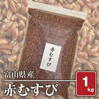 �ٻ����� �֤ह�� ���ˡ�ʣ��ǯ���ˡ�����