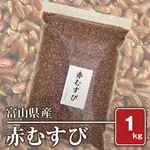 �ٻ����� �֤ह�� ���ˡ�ʣ��ǯ���ˡ�����