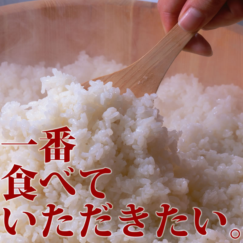 JASǧ ٻ ͭݥҥ 5ǯ 10