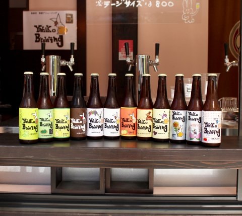 T-49 弥彦ブリューイング　クラフトビール12種飲み比べセット【送料・クール便当店負担】