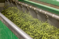 弥彦ブリューイング 弥彦枝豆IPA 355ml缶