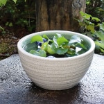 10���򥫥��߿�ȭ�����ھơ����ȭ�������ȭ�ˤ����ᡡƫ�凉�����ȭ�����ȭ�������ȭ��su-0138��