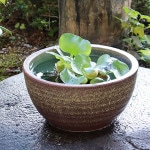 10����ȩ��ȭ�����ھơ����ȭ�������ȭ�ˤ����ᡡƫ�凉�����ȭ�����ȭ�������ȭ��su-0140��