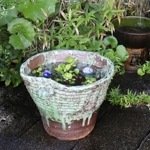 �������դ�(��)��ȭ�����ھơ����ȭ�������ȭ�ˤ������su-0091��