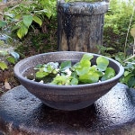 16����ڥ��귿��ȭ�����ھơ����ȭ�������ȭ�ˤ����ᡡƫ�凉�����ȭ�����ȭ�������ȭ��su-0094��