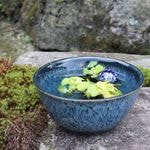 10��֥롼������ȭ�����ھơ����ȭ�������ȭ�ˤ����� �������ȭ��ƫ��ȭ����su-0105��