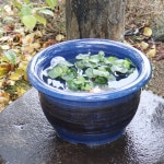 13��ʥޥ����ʿ�ȭ�����ھơ����ȭ�������ȭ�ˤ����ᡡ��su-0133��