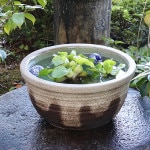 13�泥�ؿ�ȭ�����ھơ����ȭ�������ȭ�ˤ����ᡡƫ�凉�����ȭ�����ȭ�������ȭ��su-0054��