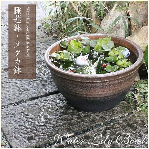 信楽焼 すいれん鉢 14号窯肌千段水鉢 信楽焼 金魚鉢、メダカ鉢にお勧め