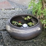 15����Ϥ��ܿ�ȭ�����ھơ����ȭ�������ȭ�ˤ����ᡡƫ��ȭ����ȭ����su-0178��